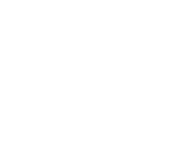 Cientista Chefe da Transformação Digital
